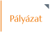 Pályázat