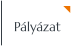 Pályázat